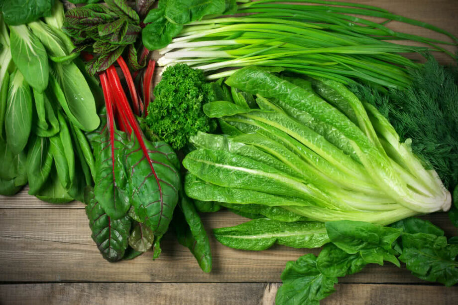 These Are The Healthiest Leafy Green Vegetables, That You Must Add In Your  Diet | ಈ ನಾಲ್ಕು ಬಗೆಯ ಹಸಿರೆಲೆ-ಸೊಪ್ಪುಗಳು ನಮ್ಮೆಲ್ಲರ ಆರೋಗ್ಯಕ್ಕೆ ಬಹಳ ಒಳ್ಳೆಯದು |  Headline Karanataka